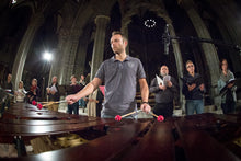 Lade das Bild in den Galerie-Viewer, Out of Darkness - Nidaros domkor, Vivianne Sydnes