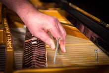 Load image into Gallery viewer, Carola Bauckholt: Ich muß mit Dir reden - CIKADA