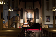 Load image into Gallery viewer, BACH - Inside Polyphony - Christian Grøvlen