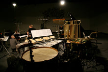 Lade das Bild in den Galerie-Viewer, Eivind Buene: Possible Cities / Essential Landscapes - CIKADA