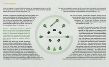 Load image into Gallery viewer, Magnar Åm: SONaR - Ellen Sejersted Bødtker, Oslo Kammersolister, Hildegunn Riise, Grex Vocalis, Carl Høgset