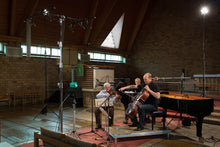 Load image into Gallery viewer, Miss Julie (Ullmann) Original Motion Picture Soundtrack - Arve Tellefsen, Truls Mørk, Håvard Gimse