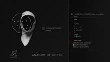 Load image into Gallery viewer, Anatomy of Sound - Song Circus
