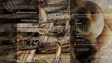 Load image into Gallery viewer, FURATUS - Ole Edvard Antonsen, Wolfgang Plagge