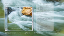 Load image into Gallery viewer, The Trondheim Concertos - Sigurd Imsen & Baroque Ensemble of the Trondheim Symphony Orchestra
