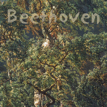 Load image into Gallery viewer, Beethoven sonatas for fortepiano and cello, vol I - Kristin Fossheim, Bjørn Solum