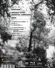 Lade das Bild in den Galerie-Viewer, Eivind Buene: Possible Cities / Essential Landscapes - CIKADA