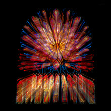 Load image into Gallery viewer, NIDAROS - Nidaros domkor, Vivianne Sydnes, Torbjørn Dyrud