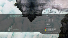 Load image into Gallery viewer, In folk style - TrondheimSolistene, Emilia Amper, Gjermund Larsen, Øyvind Gimse, Geir Inge Lotsberg
