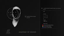 Load image into Gallery viewer, Anatomy of Sound - Song Circus

