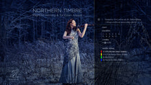 Load image into Gallery viewer, NORTHERN TIMBRE - Ragnhild Hemsing, Tor Espen Aspaas
