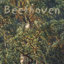 Load image into Gallery viewer, Beethoven sonatas for fortepiano and cello, vol I - Kristin Fossheim, Bjørn Solum
